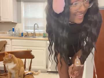 girl My Sexy Wet Pussy Cam On Chaturbate with zaelas